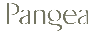 Logo pangea aliado sinergia constructora